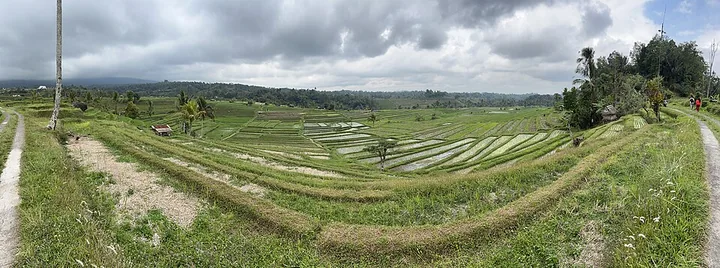 Jatiluwih Rice Terraces · Bali