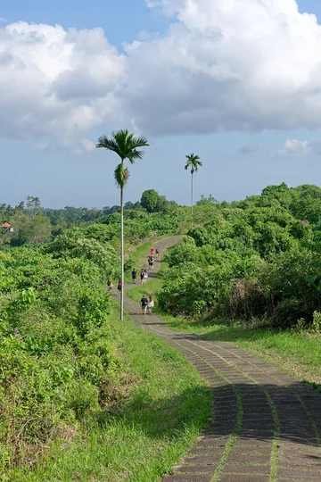 Campuhan Ridge Walk trail in Ubud, Bali