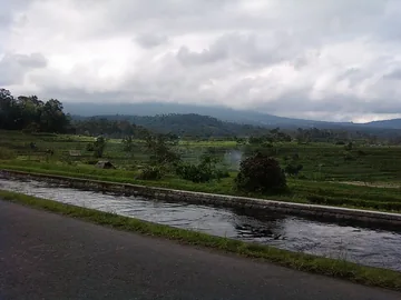 Rice Terrace Sidemen East Bali 2013