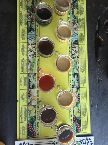 Coffee and tea tasting at Cantik Agriculture, Bali. Close-up photograph: a cup of kopi luwak.